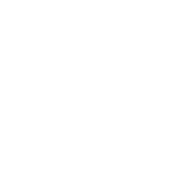 Instagram White Icon