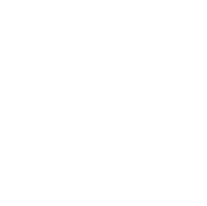 LinkedIn White Icon